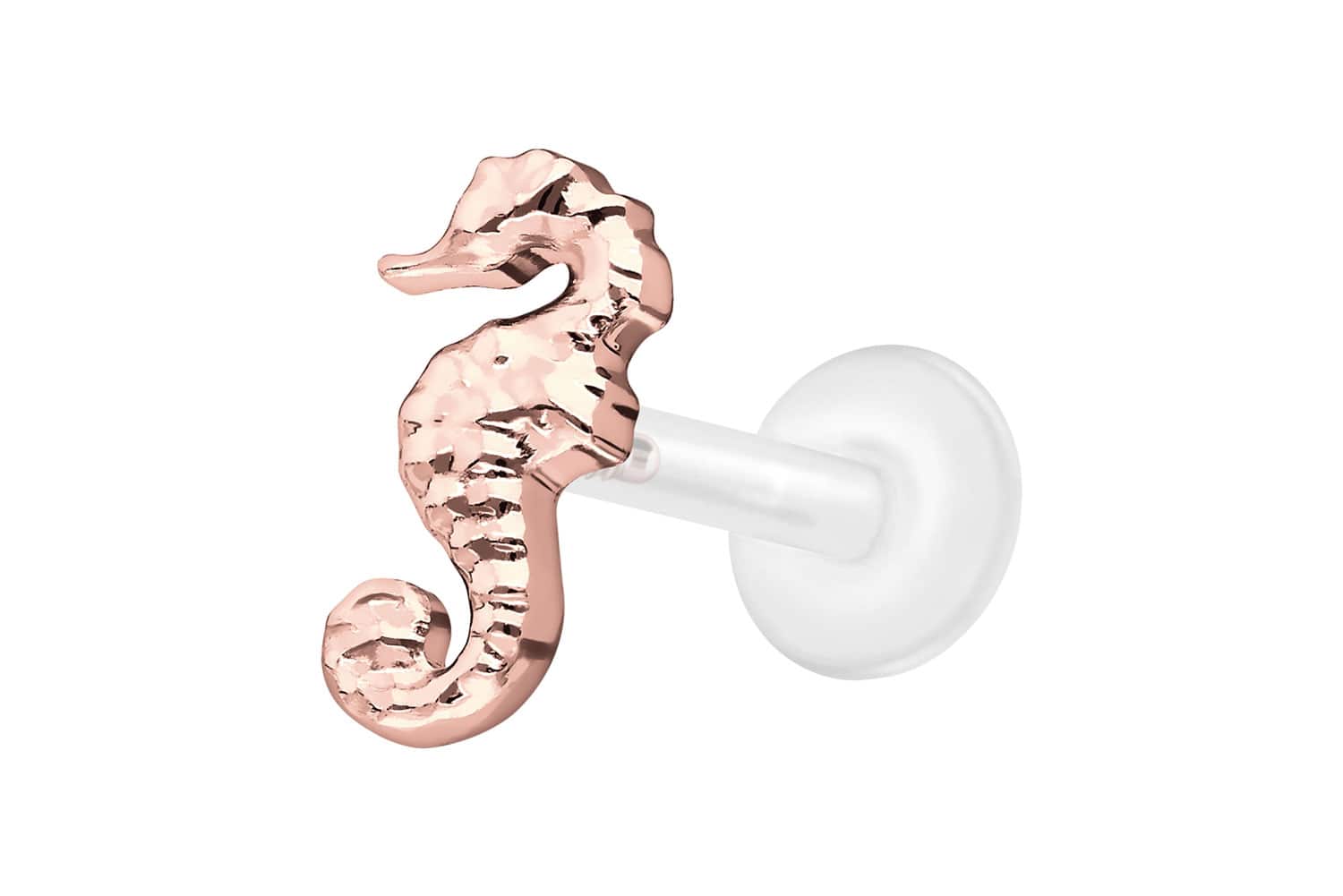 PTFE Labret Piercing mit Innengewinde + Titan-Aufsatz SEEPFERDCHEN